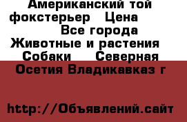 Американский той фокстерьер › Цена ­ 25 000 - Все города Животные и растения » Собаки   . Северная Осетия,Владикавказ г.